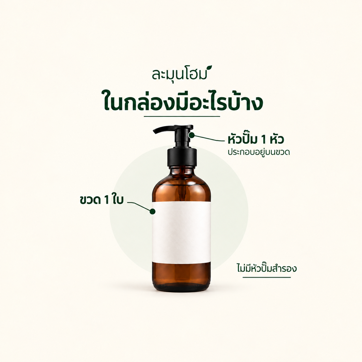 ตัวอย่างภาพบอกของที่มีในกล่อง